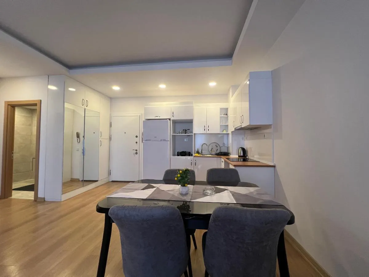 Cozy Homes 1 Room 1 Living Room Apartment Istanbul