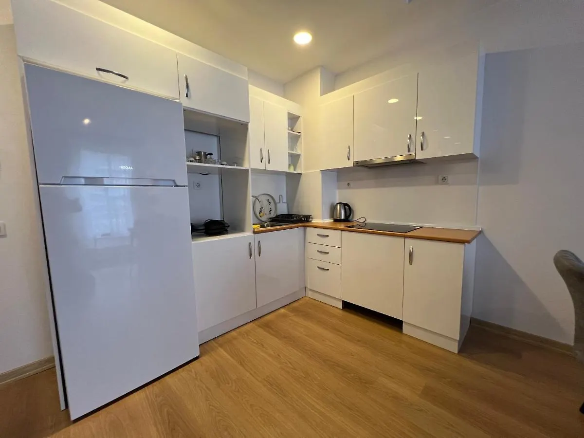 Cozy Homes 1 Room 1 Living Room Apartment Istanbul 0*,