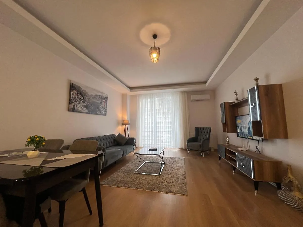 Cozy Homes 1 Room 1 Living Room Apartment Istanbul Turkey